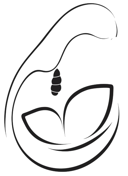 مرکز مشاوره تجربه امن